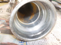 DSCN5460