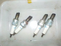 DSCN3166