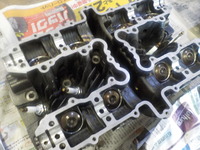 DSCN6410