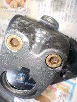 DSCN2447