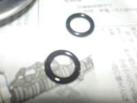DSCN6558