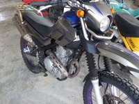DSCN3134