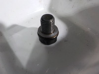 DSCN6166