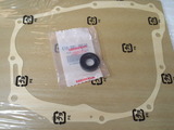 sl230ws20120502 (2)