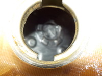 DSCN7117