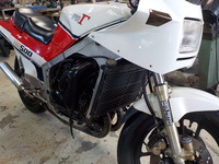 DSCN8909