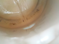DSCN1731