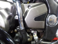 DSCN5584