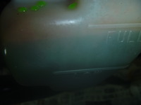 P1140180