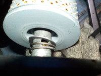 DSCN3570