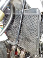 DSCN6561