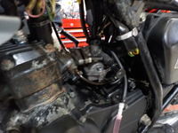DSCN5950
