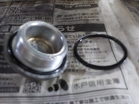 DSCN7887