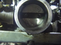 P1010557