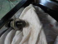 DSCN6873