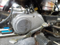 DSCN6368
