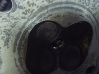 P1010462