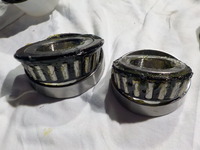 DSCN6729