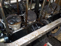 DSCN5447