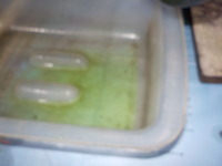 DSCN3334
