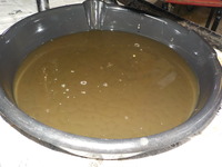 DSCN2850