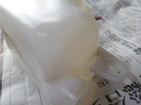 DSCN6931