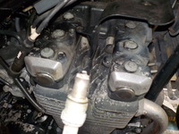 DSCN5419