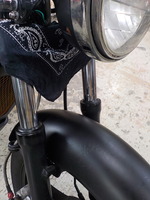 DSCN5936