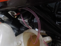 DSCN3147