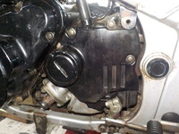 DSCN5478
