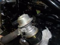 DSCN6702