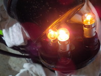 DSCN3791