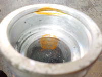 DSCN2384