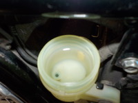 DSCN9555