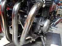 DSCN6541