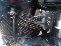 DSCN7534