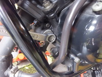 DSCF0537