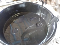 DSCN5552
