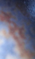 Photo_10
