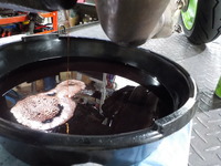 DSCN4286