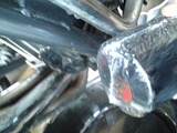 balius20111007ws (7)