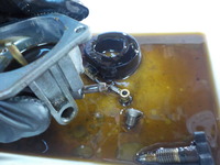 DSCN0165