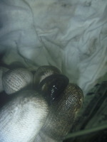 P1230869