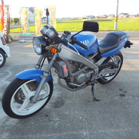 DSCF7537