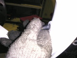 Image040
