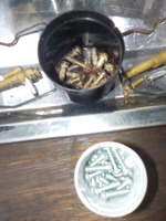 DSCN1308