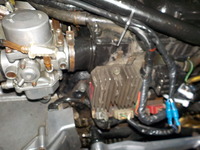 DSCN8679