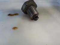 DSCN2962