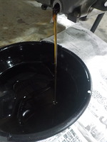 DSCN1500