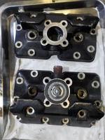 DSCN3920